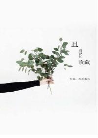 我收藏的记忆作文