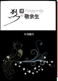 烈酒敬余生简介