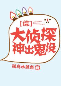 大侦探神出鬼没 百度