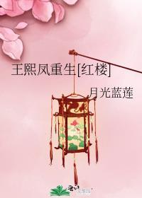 王熙凤重生免费阅读