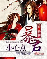 名门贵妻暴君小心点 作者