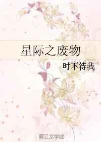 星际之废物 古穿今