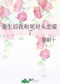 重生后我和死对头hegl