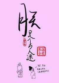 万人迷的朕只 想咸鱼