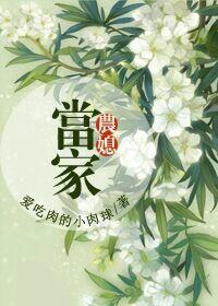 农媳v5