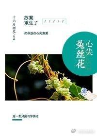 重生心尖菟丝花全文