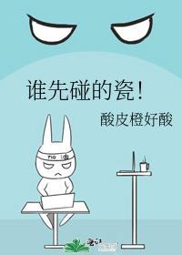 谁先碰的瓷by酸皮橙好酸免费