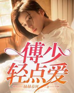 傅少甜宠