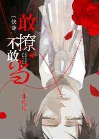 敢撩不敢当快穿无防盗