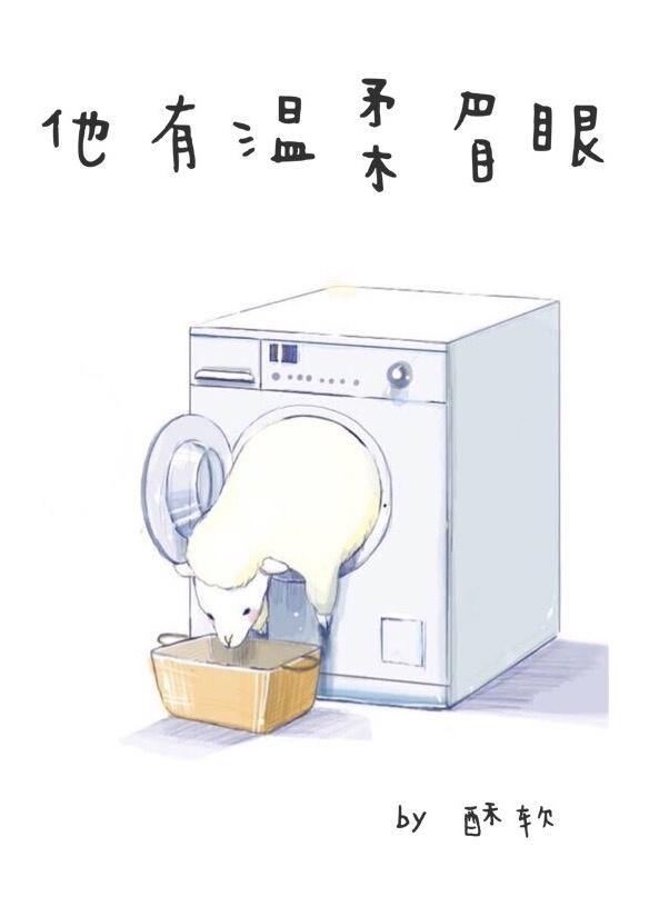 他有温柔眉眼完结番外