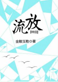 流放文推荐
