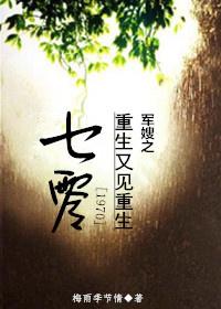 七零军嫂重生又见重生蓝玉儿刘斌的重生