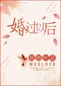 婚过以后简图免费阅读