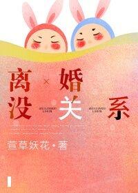 离婚没关系 作者萱草妖花