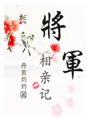 将军见面