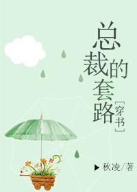 套路总裁后