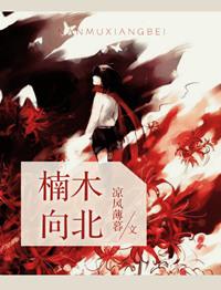 楠木向北好看么