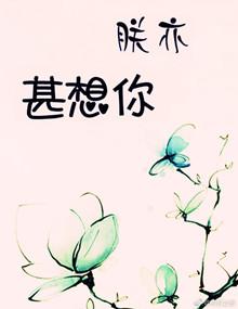 朕亦甚想你 初云之初txt