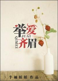 举齐眉成语