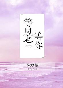 等风也等你TXT百度