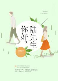 你好陆先生时槐序全文