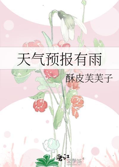 15天天气预报每天每小时的雨