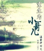 重生为小哥by