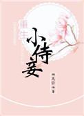 重生之惩罚小妾