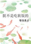我爸不是吃软饭的人