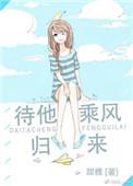 待他乘风归来无弹窗全文