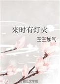来时有灯火番外
