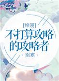 综不打算攻略的攻略者格格