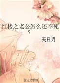 穿越红楼之老公