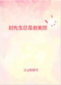 封先生总是很美丽剧情介绍