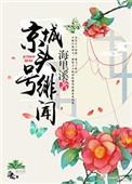 京城头号绯闻全文免费阅读书包网