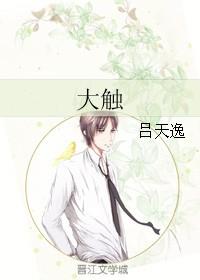 大触是什么意思二次元