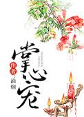 掌心宠泊烟讲的什么