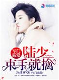 军门霸宠 腹黑少帅狂宠妻