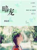 暗宠南枝八小姐免费阅读