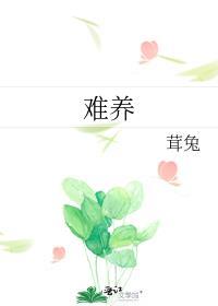 盆栽红枫为什么难养