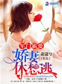 军门霸爱娇妻休想逃 聚合中文网