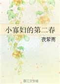 小寡妇的第二春_完整章节目录 - 冷酷文学