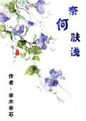 奈何肤浅未删减版