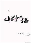 小野猫与斗牛犬