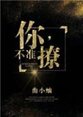 你不准撩肉