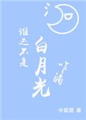 不是谁的白月光 也不是谁的朱砂痣