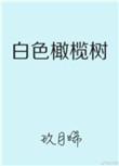 白色橄榄树在线观看电视剧