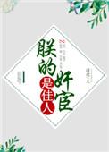 朕的江山百科