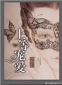 上等宠爱穿越知乎
