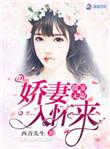 之娇妻入怀来